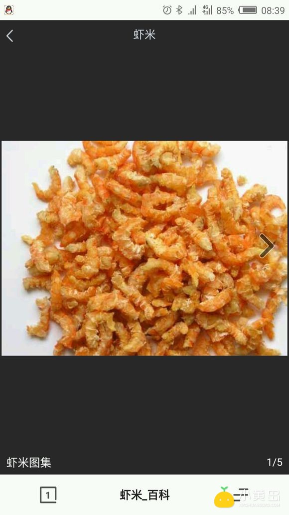 黄岛哪里有卖好虾米的