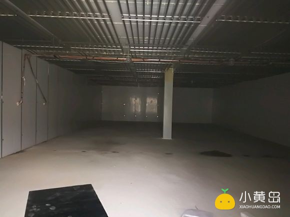 一早起来打个广告。业务范围：审车，出售鸡肉泥狗食，鸡副产品。