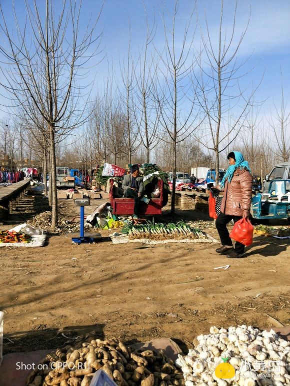 残疾人被警察的叔叔殴打