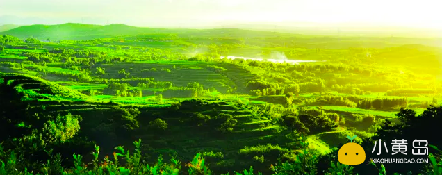 屏幕快照 2018-01-31 下午5.37.07.png