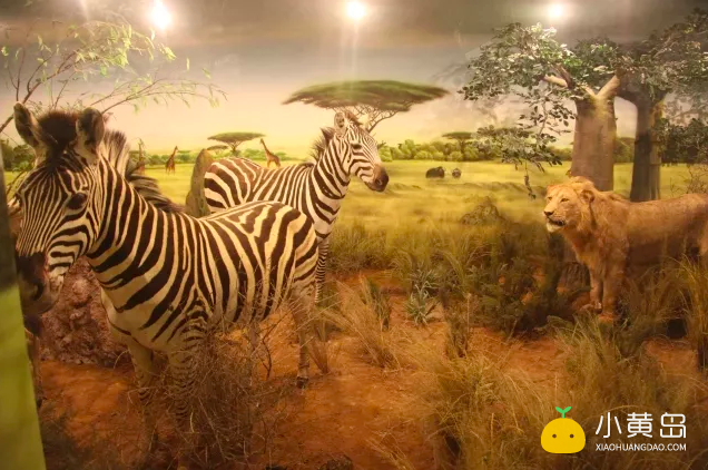 屏幕快照 2018-01-31 下午5.40.43.png