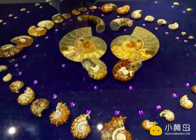 屏幕快照 2018-02-02 下午2.46.51.png