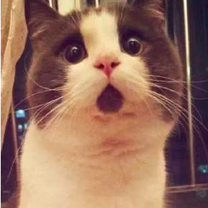 屏幕快照 2018-02-03 下午1.51.51.png