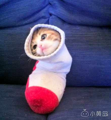 屏幕快照 2018-02-05 下午11.29.50.png