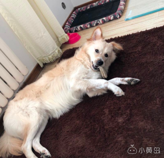 屏幕快照 2018-02-09 下午11.53.30.png