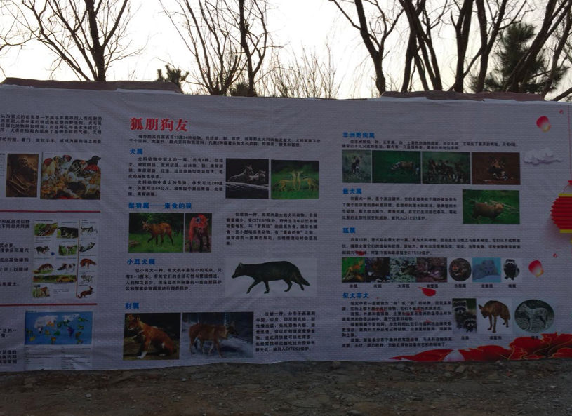 屏幕快照 2018-02-23 下午3.36.28.png