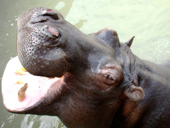 屏幕快照 2018-02-22 下午7.35.11.png