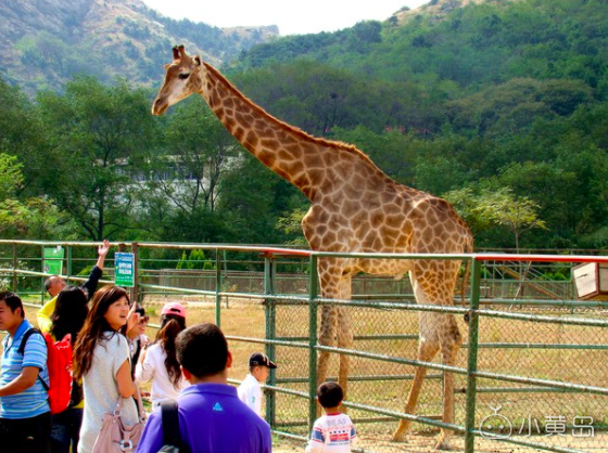 屏幕快照 2018-02-22 下午7.34.45.png