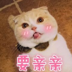 老黄岛本地的大佬们求助一下