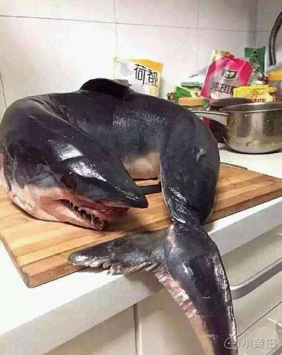 英朗自动挡带天窗跟倒车影像的多少钱呀