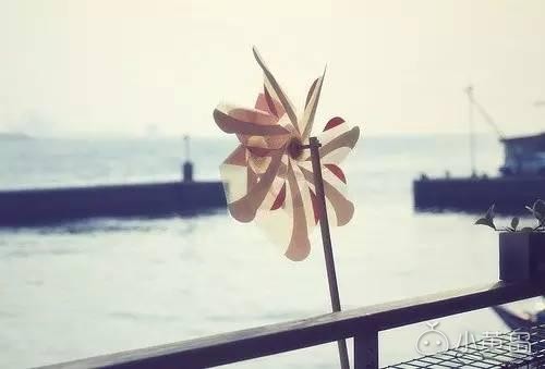 婚姻幸不幸福，只看这两点……（太对了！）