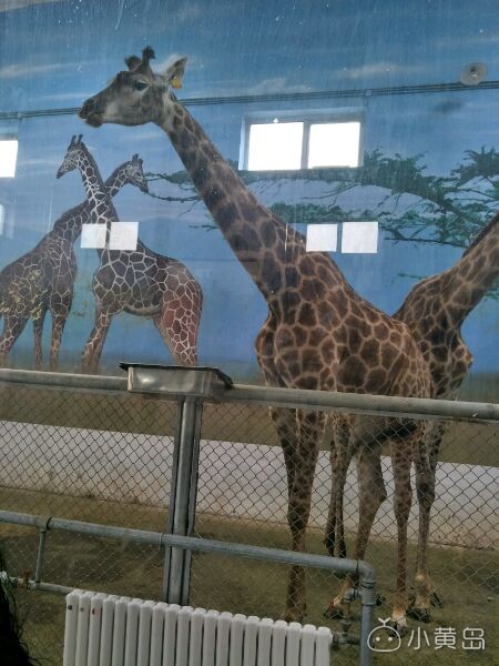 黄岛哪里可以学习美甲啊