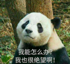 屏幕快照 2018-03-12 下午5.01.37.png