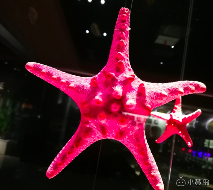 屏幕快照 2018-03-14 上午10.01.33.png