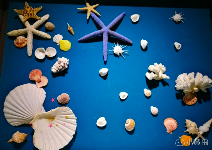 屏幕快照 2018-03-14 上午10.01.21.png