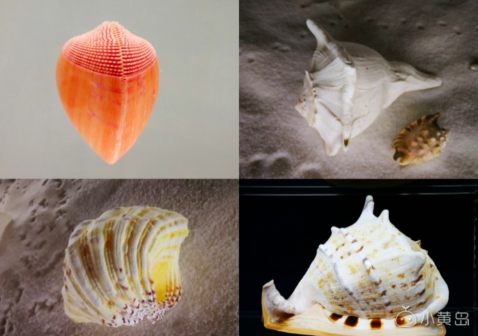 屏幕快照 2018-03-14 上午9.59.57.png