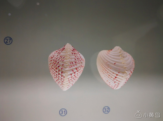 屏幕快照 2018-03-14 上午9.59.47.png