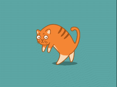 65056553-8987-4DA6-AED7-E46109E98FA7.gif
