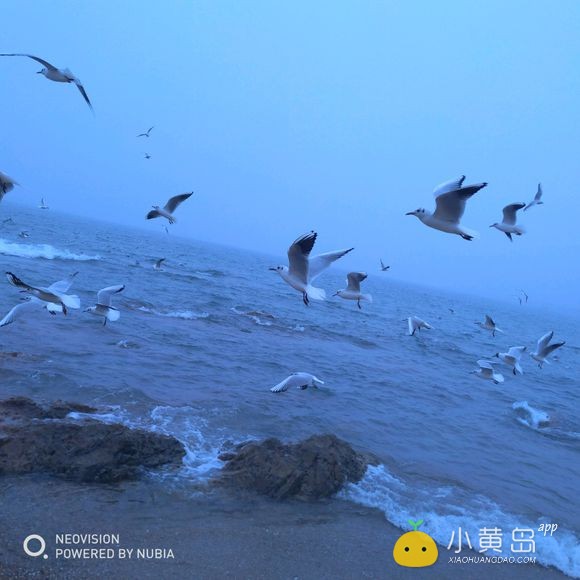 海尔好还是海信好，还是澳柯玛好，我想进一个，有内部推荐码，绝