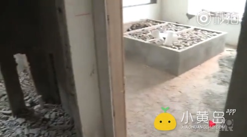 TIM截图20180328132909.png