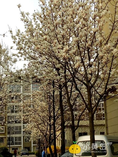 招聘服务员，烧烤工数名，男女不限，工资2500-3500/月