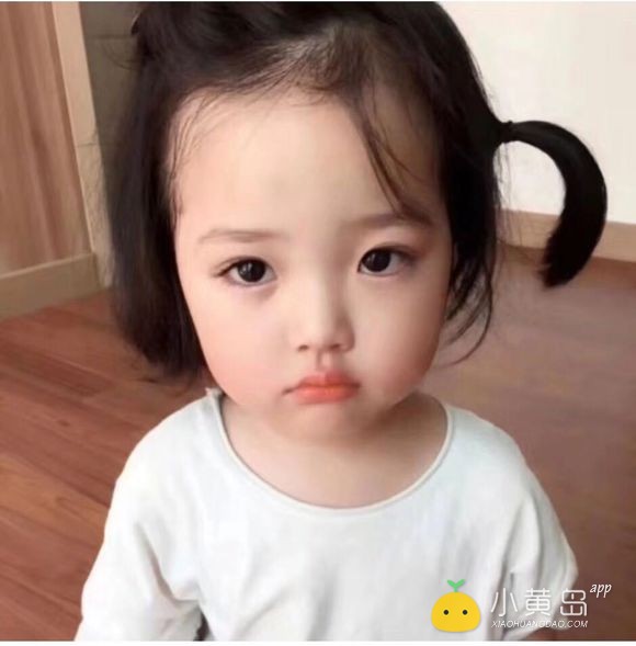 谁家小猫生了养不了，想领养一只小橘猫～