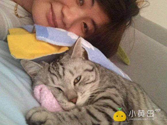 给自家小猫找个男朋友，多谢多谢