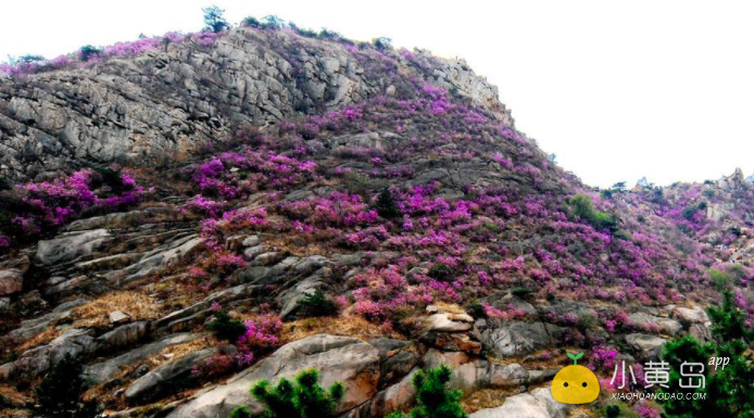 屏幕快照 2018-04-05 下午5.22.08.png