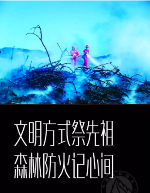 屏幕快照 2018-04-05 下午11.11.47.png