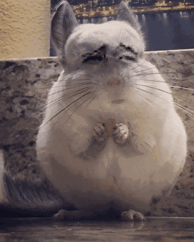 5bac0389fe449123af2327a9f30f51a3.gif