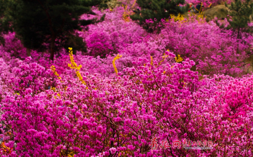 屏幕快照 2018-04-07 下午3.29.24.png