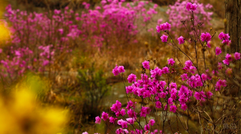 屏幕快照 2018-04-07 下午3.29.11.png