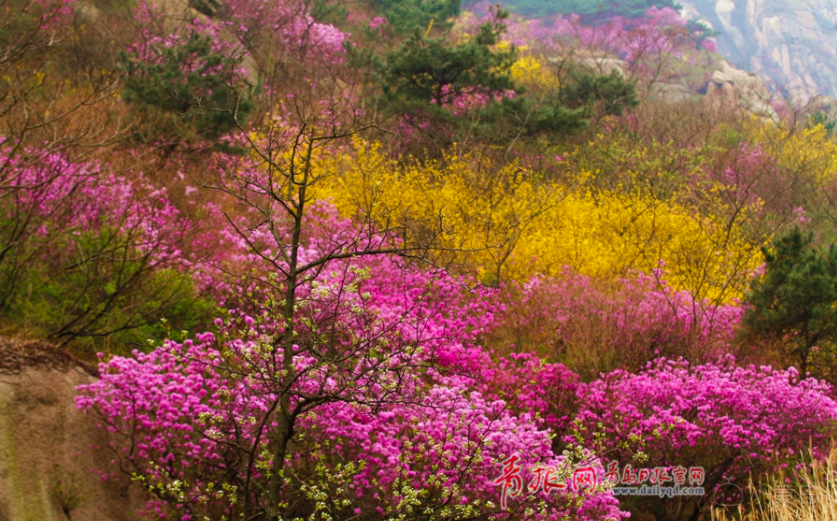 屏幕快照 2018-04-07 下午3.28.58.png
