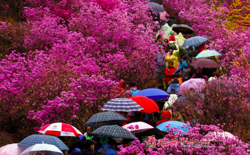 屏幕快照 2018-04-07 下午3.28.37.png