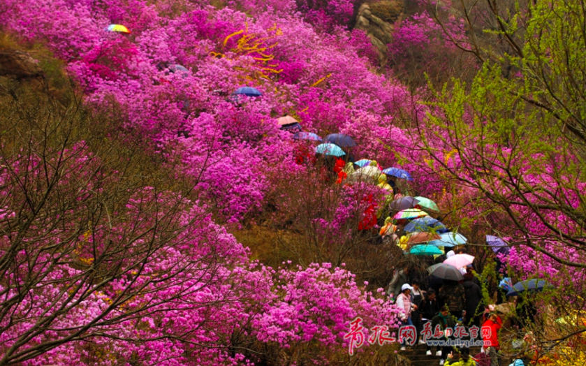 屏幕快照 2018-04-07 下午3.27.55.png