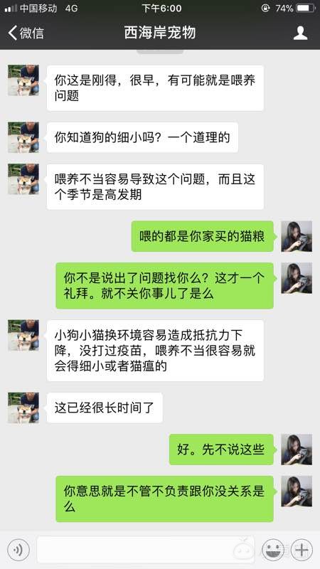 求扩散。2500块钱买的星期猫。无良商家