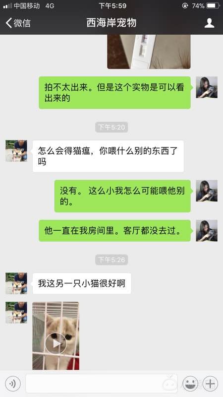 求扩散。2500块钱买的星期猫。无良商家