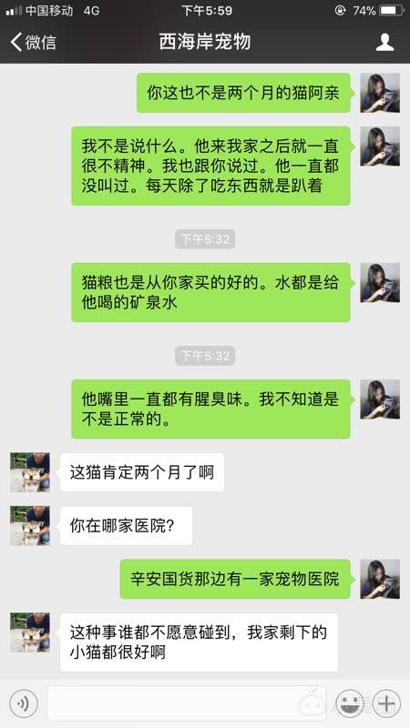 求扩散。2500块钱买的星期猫。无良商家