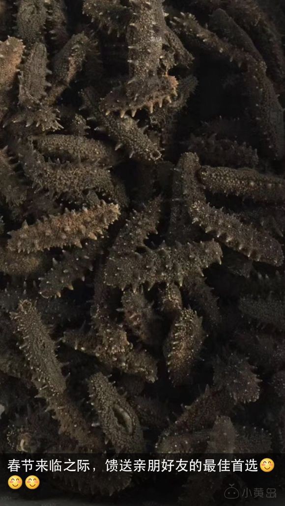 即食海参，干海参，绿色无添加，约起来吧