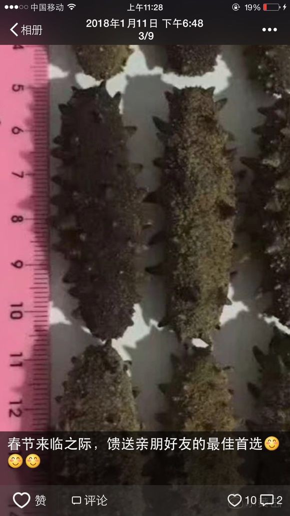 即食海参，干海参，绿色无添加，约起来吧