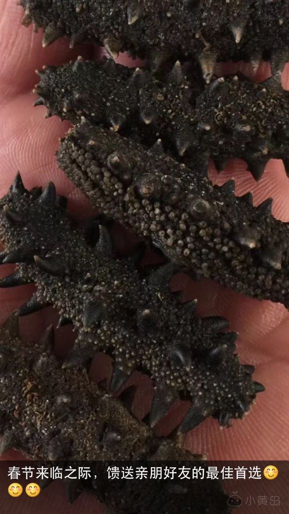 即食海参，干海参，绿色无添加，约起来吧