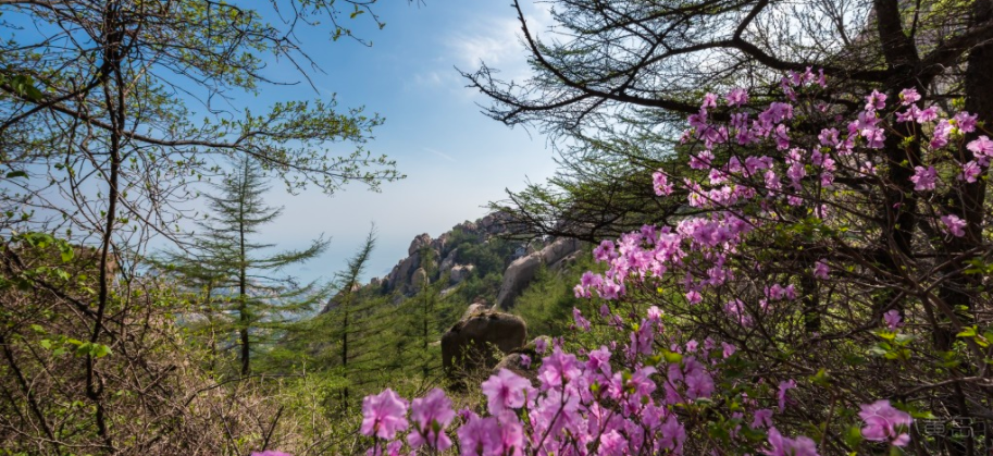 屏幕快照 2018-04-26 下午1.51.11.png