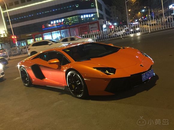 开发区看见的大牛