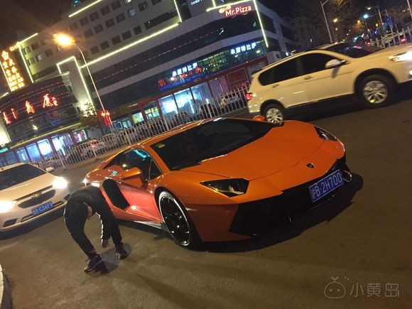 开发区看见的大牛