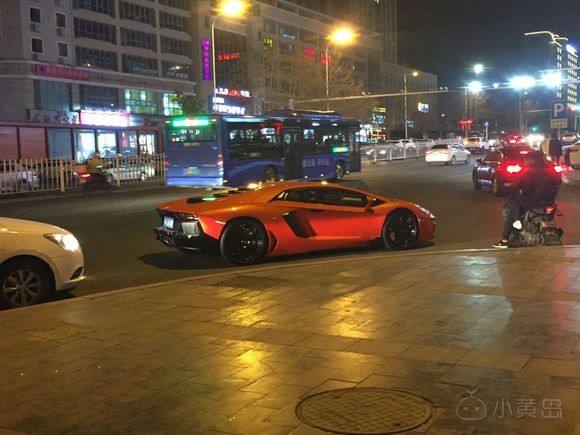 开发区看见的大牛