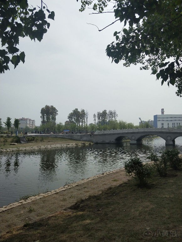 电话车险返现是真的吗？