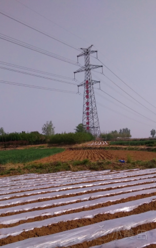 屏幕快照 2018-05-04 下午1.11.12.png