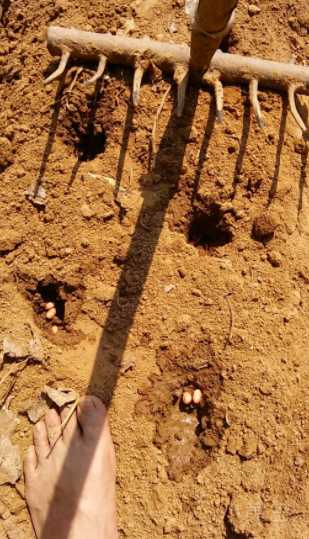 屏幕快照 2018-05-04 下午1.10.51.png