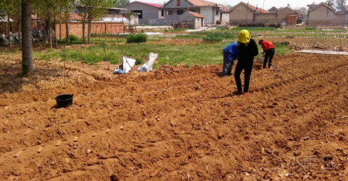 屏幕快照 2018-05-04 下午1.10.35.png