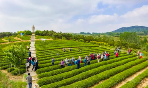 屏幕快照 2018-05-05 上午6.31.48.png